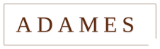 Adames Training & Advies Logo